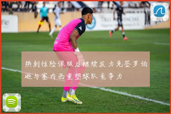 热刺惊险保级后继续发力免签罗伯逊与塞内西重塑球队竞争力