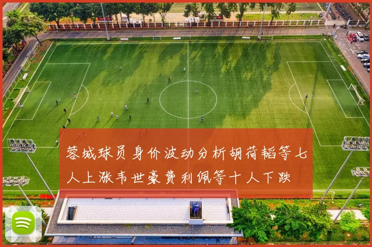蓉城球员身价波动分析胡荷韬等七人上涨韦世豪费利佩等十人下跌
